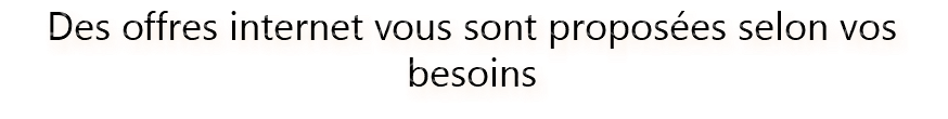 Des offres internet vous sont proposées selon vos besoins